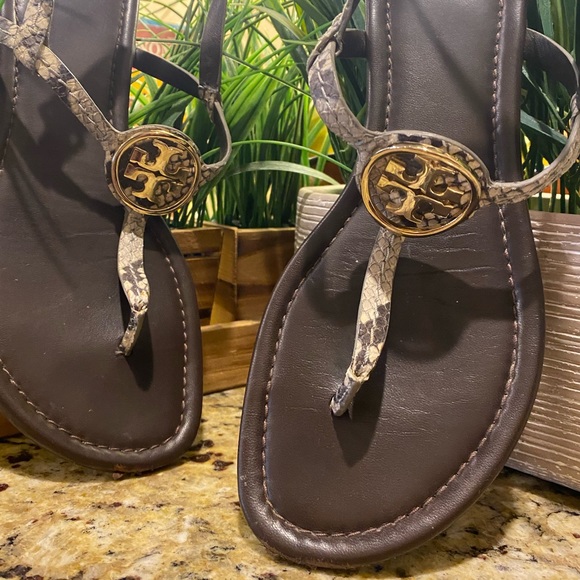 Tory Burch Dani Snakeskin T-strap Thongs Sandals - Picture 5 of 16